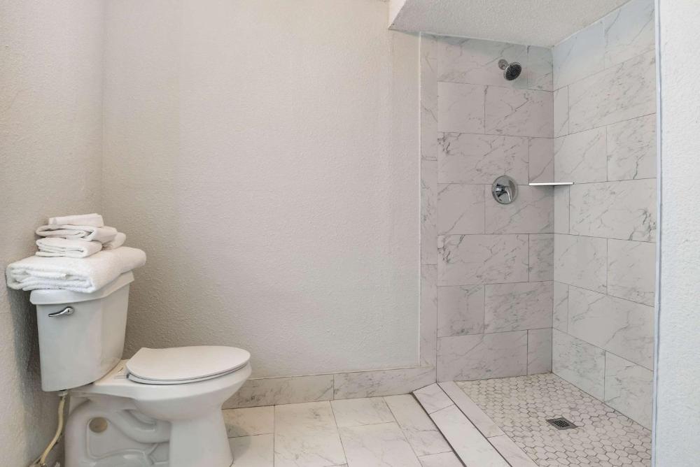 One King Bed, Mobility Accessible Suite, Roll-In Shower, Non-Smoking interior